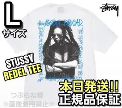 海外限定 sttusy REBEL DREAD TEE 半袖 ステューシー L - メルカリ