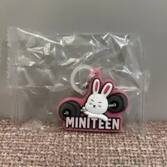 MINITEEN めじるしアクセサリー　エスクプス
