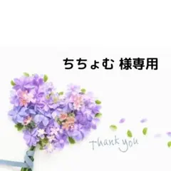 ちちょむ様専用