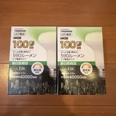 ヤザワ LDR10NHD2 LED電球 昼白色 2個セット