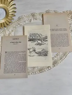 Taco.様 リクエスト 3点 まとめ商品