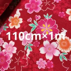 Item thumbnail for item 61399cbe-0537-4f79-96f9-5ecdf46c9261