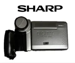 撮影再生ダビングOK　SHARP　VL-PD1　付属品あり　液晶大画面 撮影再生ダビングOK SHARP VL-PD1 付属品あり 液晶大画面 撮影