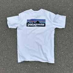 patagonia ホワイト Tシャツ　パタゴニア　ノースフェイス