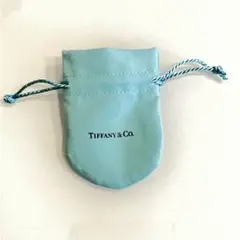 Tiffany & Co. アクセサリーケース　ティファニー　巾着袋　小物入れ
