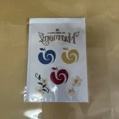 Mrs. GREEN APPLE ボディシール