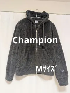 スローブイエナチャンピオン