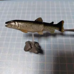 ユージン　原色淡水魚図鑑　イトウ