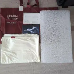 【超美品】BRAIN SLEEP PILLOW STANDARD