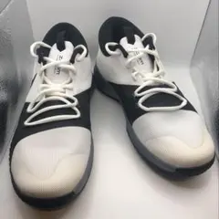 ナイキ NIKE ズームアサーション EP バッシュ バスケットボールシューズ