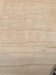 アヒル様購入用