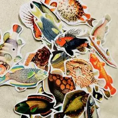 フレークシール　魚