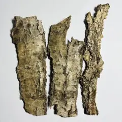 Item thumbnail for item fbaf3688-27d5-4fc5-be92-aad397c18649