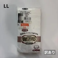 【訳あり】グンゼ　ブリーフ（天引き）　LL