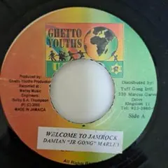 2026年最新】damian marley レコードの人気アイテム - メルカリ