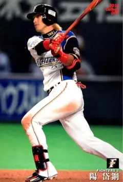 陽岱鋼 北海道日本ハムファイターズ レギュラーカード プロ野球チップス 2016