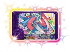 ポケモンフレンダ　ボーマンダ　スーパートレジャーピック　メガシンカ⑤