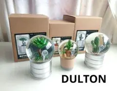 DULTON スノードーム　３点セットPLANTS WATER GLOBEのサムネイル