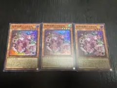 遊戯王 幻奏の音女セレナ3枚セット 2点目無料 9131 - メルカリ