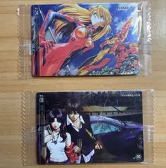 エヴァンゲリオン ウエハース BANDAI プラスチックカード2枚セット
