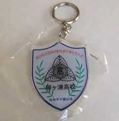 Item thumbnail for item d328b8d8-15c3-4811-a6c6-88d0bd542c5f