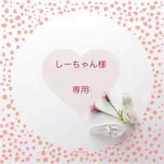 ▪しーちゃん様専用