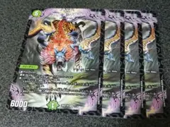 アエヌマクア 　　4枚