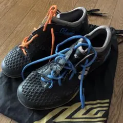 YONEX バドミントンシューズ リーチョンウェイモデルのサムネイル