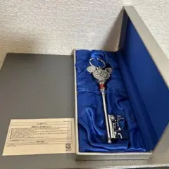 【新品未使用】東京ディズニーリゾート 25周年 キー ストラップ