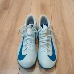 Item thumbnail for item 1173f023-1786-4d05-9733-66d9657e8494