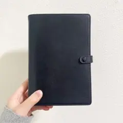 Item thumbnail for item 78fde749-ab71-45b7-b66a-7314dca3920a