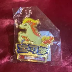 ポケモン ピンバッジ 限定品 非売品 ハバタクカミ - メルカリ