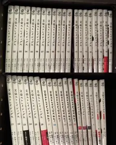 文豪ストレイドッグス 1〜26巻+関連本12冊セット