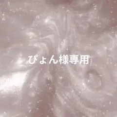 ぴょん様専用ページ