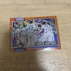 とく様 リクエスト 2点 まとめ商品