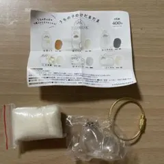 うちの子のけだまだま　ノーマル