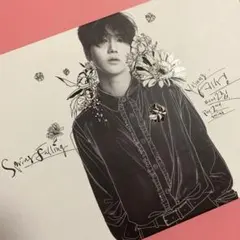 YESUNG Spring Falling 限定盤 新品未開封 YESUNG Ye Sung Mini Album Vol. 2 Spring Falling Taiwan CD+Card