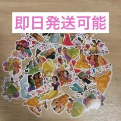 【最終値下げ】ディズニープリンセス ステッカー 50枚セット♡シール帳