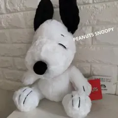 ✾新品✾スヌーピー　ぬいぐるみ　ピーナッツ　PEANUTS SNOOPYのサムネイル