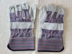 Item thumbnail for item d84fb431-63c8-4f85-8ae6-175f7ea71cca