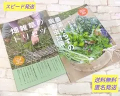 Item thumbnail for item 4e10d2f3-1308-44a2-843f-b32416256b7d