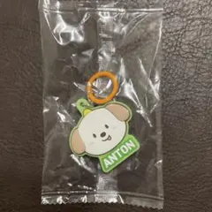 即購入可☆RIIZE ぷっくりめじるしアクセサリー【アントン】