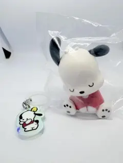 サンリオ【ポチャッコ】（肩ズンFIG、アクリルめじるしアクセサリー）