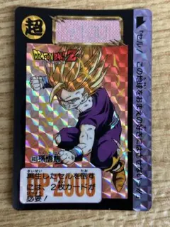 ドラゴンボールZ 孫悟飯 カード 603