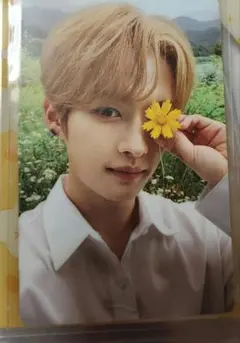 Stray Kids スキズ リノ　トレカ　LEEKNOW