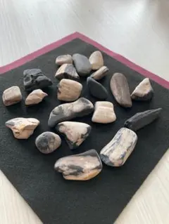 自然石加工品－2（ケニヤ産珪化木（木の化石）のキートレイ）