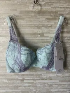 C70」トリンプ レッドレーベル 天使のブラ スリムライン ブラジャー