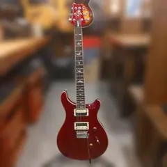 PRS SE Custom 24 Standard (管理テキ)のサムネイル