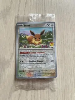 Pokemon Day Eevee 2025 ポケモンデイ イーブイ 英語
