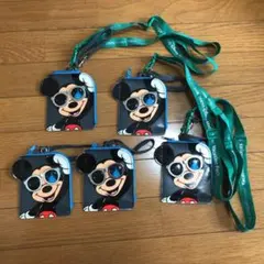 Disney☆バケーションパッケージパスケース！美品！